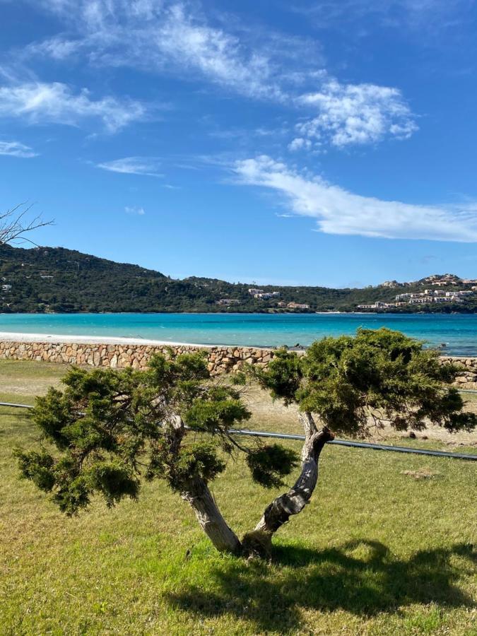 Cala Reale Rooms Marinella 马里内拉 外观 照片