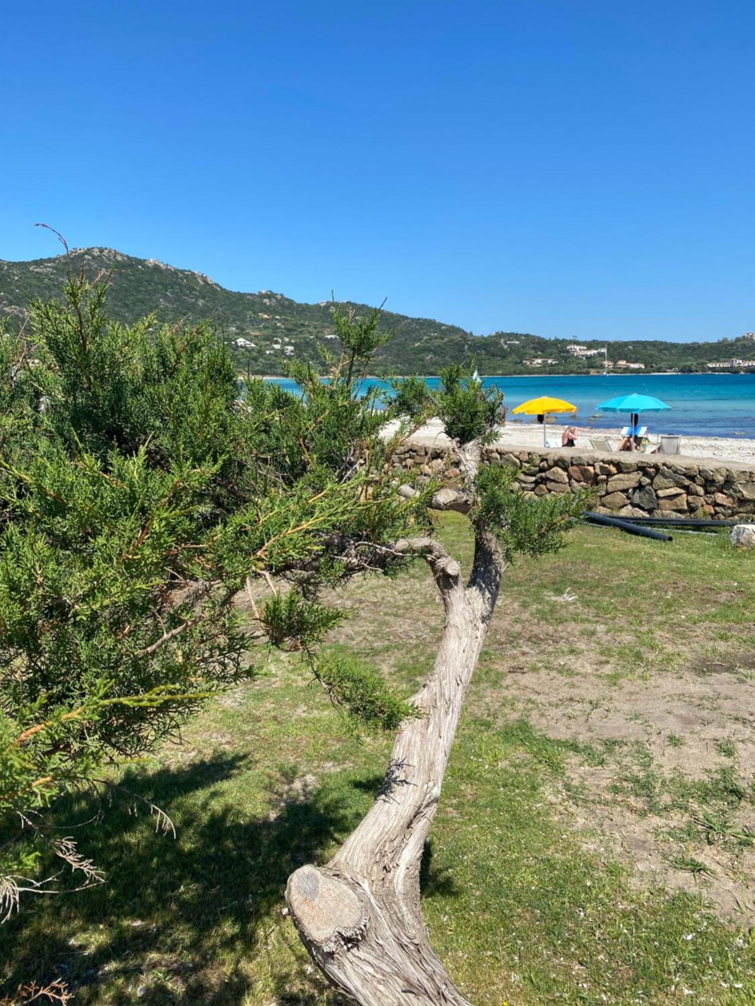Cala Reale Rooms Marinella 马里内拉 外观 照片